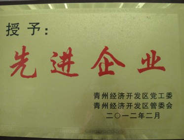 先 进企业